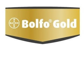 Bayer Bolfo Gold of Duo-Op