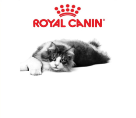 Royal Canin natvoer