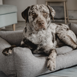 Hondenmand Rebel Petz Taupe