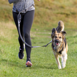 Trixie Heupriem Middelgrote en Grote Honden