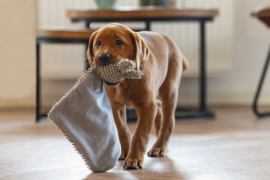 Puppy knuffellap An