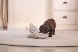 Puppy knuffellap An