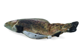 Robocat Forel
