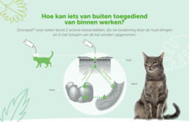 Dronspot kleine kat 2 pipet