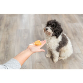 Chicken Heart Lolly (4 stuks)