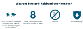 Bayer Seresto Band Hond voor meer dan 8 kg.
