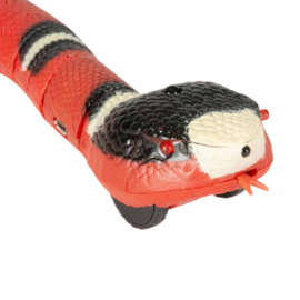 Moving Snake