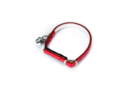 Kattenhalsbandje leer gevoerd rood
