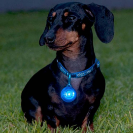 Roglite Hondenlampje Blauw
