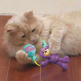 KONG Occasions Birthday Teddy