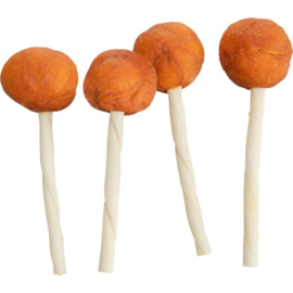 Kabeljauw lolly (5 stuks)