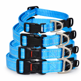 Rogz 4 Dogz Nylon Halsband Turquoise