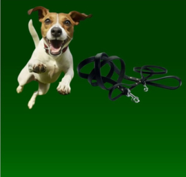 Uit met de hond