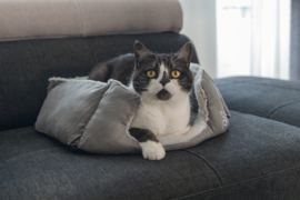 Kattenmandje Baboo grijs