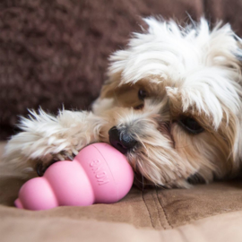 KONG Puppy Small Blauw