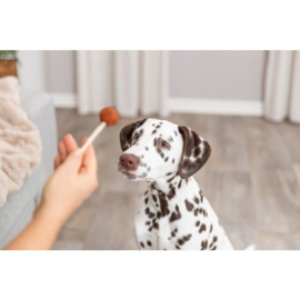 Kabeljauw lolly (5 stuks)