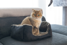 Kattenmandje Baboo zwart / taupe
