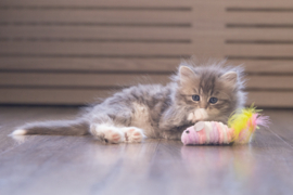Beeztees Kitten Muis Mosey 17 cm | Kattenspeelgoed