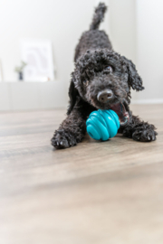 Trixie Super Strong Hondenspeelgoed Bal 6 cm.