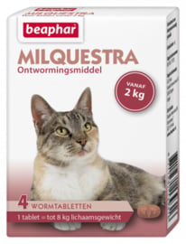 Milquestra Grote Kat ( 4 tablet voor katten > 2kg.)