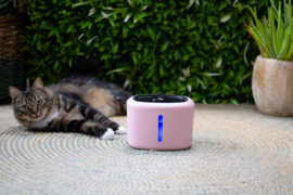 Katten Drinkfontijn AquaBella Roze