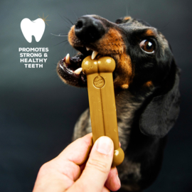 Tasty Bone Pindakaas Mini