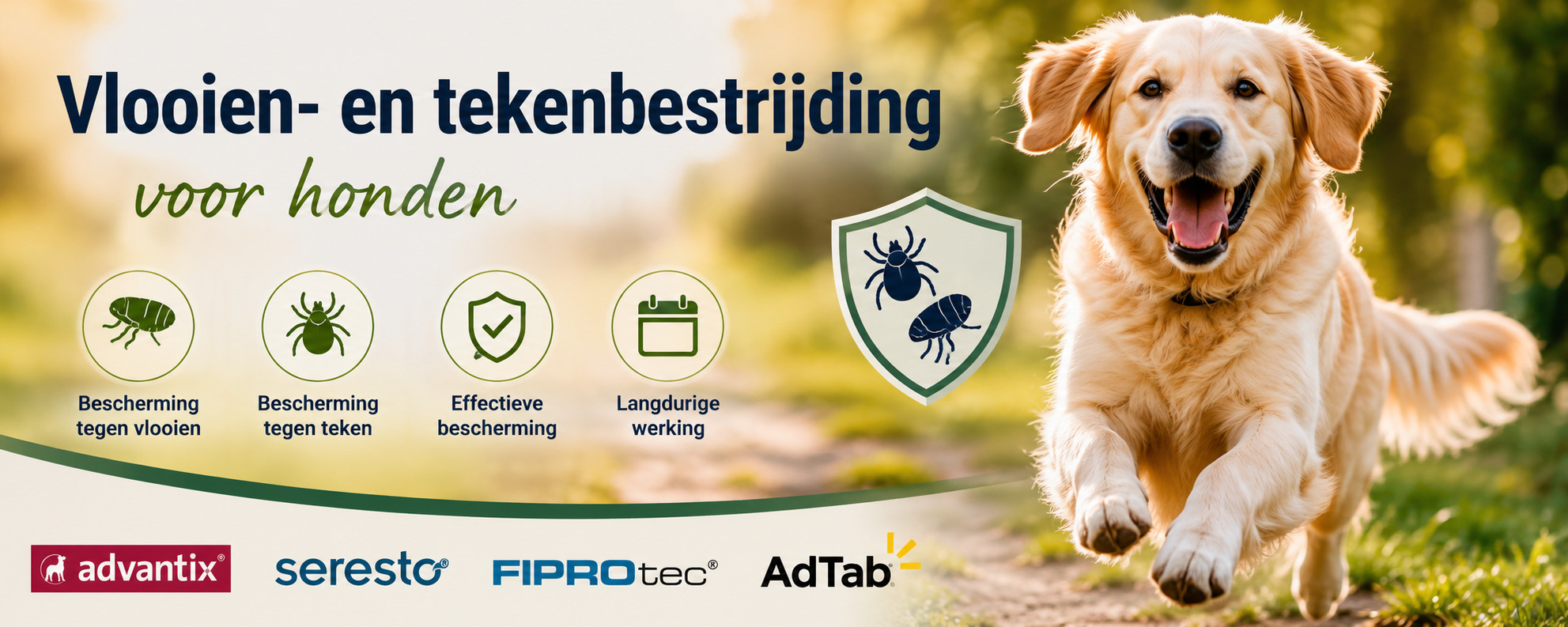 vlo en teek