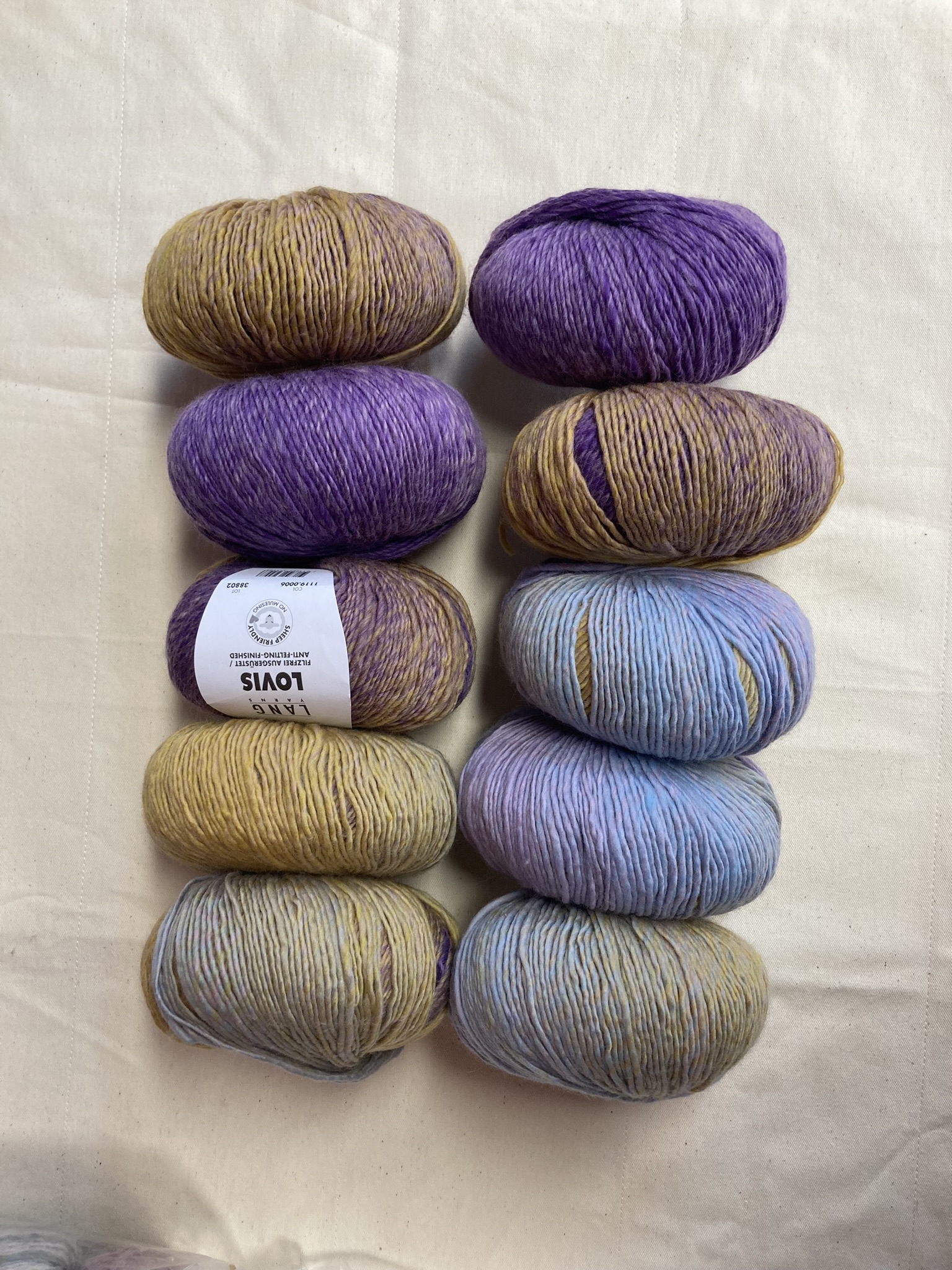 10 x Lovis, kleur 6