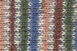 West Yorkshire Spinners - Signature Wilde Eend