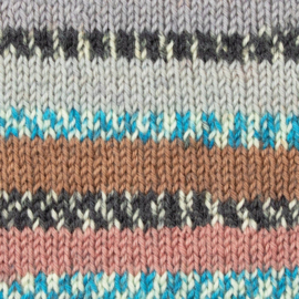 West Yorkshire Spinners - Signature Vlaamse Gaai