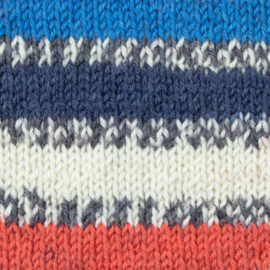 West Yorkshire Spinners - Signature Zwaluw