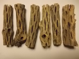 Cholla wood medium