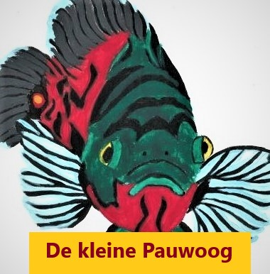 De kleine Pauwoog