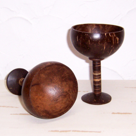 Kokosnoot cocktailglazen + lepels / coconut cocktail cups + spoons (set van 2)