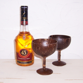 Kokosnoot cocktailglazen / coconut shell glass | dessert cup / ijscoupe (set van 2)