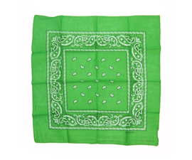 PAISLEY BANDANA groen 55x55 cm hoofddoek / zakdoek hippie