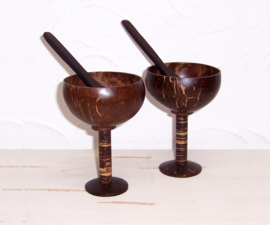 Kokosnoot cocktailglazen + lepels / coconut cocktail cups + spoons (set van 2)