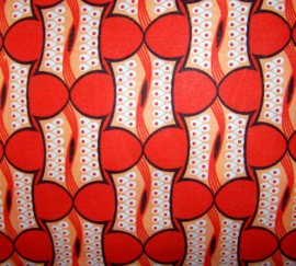 PALULU exotische sierkussens | 49 x 49 cm (set van 2 kussens)