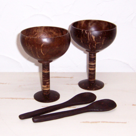 Kokosnoot cocktailglazen + lepels / coconut cocktail cups + spoons (set van 2)