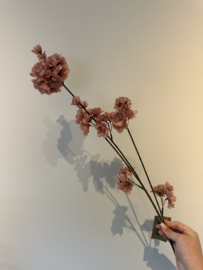 Bloesem tak - roze