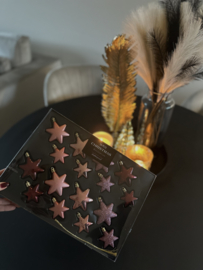 Kerst ornament fitun ster rood
