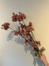 Bloesem tak - roze