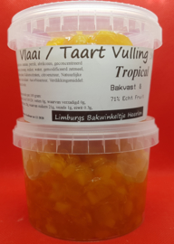 Taart en Vlaai Vulling Tropical 500 gram