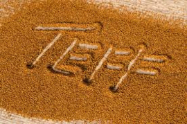 Teff Broodmix 1 kg  - Voor een voedzaam en krachtig brood met het oeroude granen