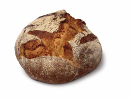 O-tentic Tradizione 1kg