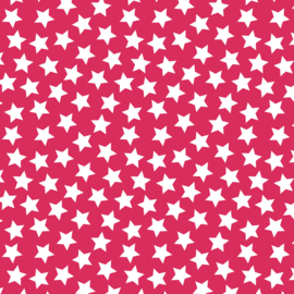Camelot Fabrics Raspberry Stars