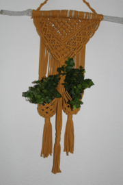 macramé plantenhanger (exl. potjes en plantjes)