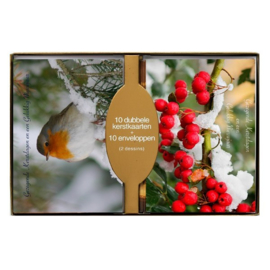 50 stuks Kerstkaarten - Gezegende Kerstdagen en een Gelukkig Nieuwjaar met envelop | 5 pakjes | serie 14-G