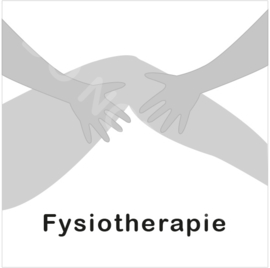 ZW/W - Fysiotherapie