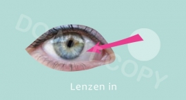 Lenzen in - M